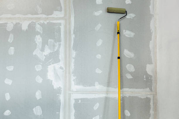 Best Mold Damage Restoration  in Lake Odessa, MI