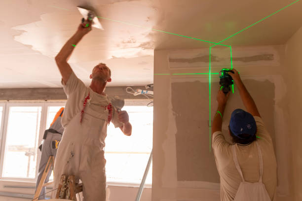 Best Mold Odor Removal Services  in Lake Odessa, MI