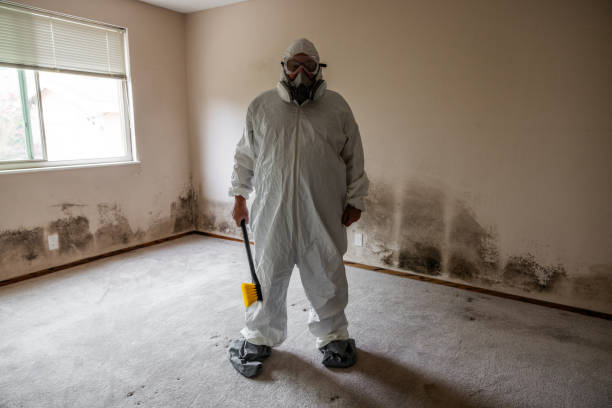 Best Residential Mold Inspection & Testing  in Lake Odessa, MI